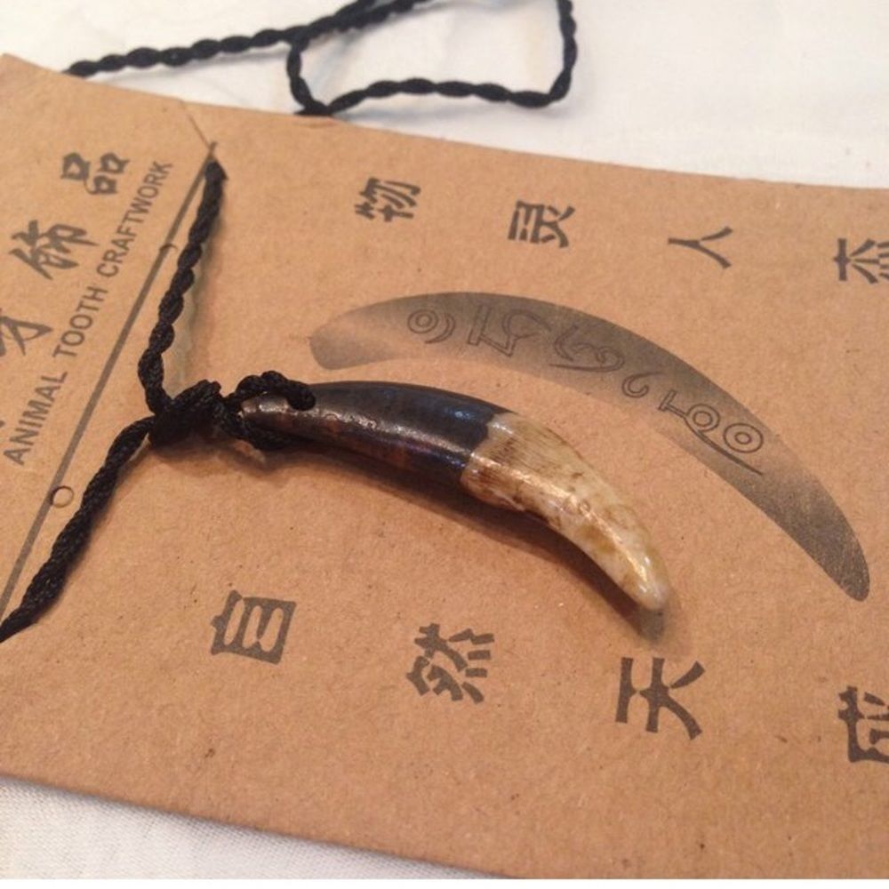 Vintage Boho Animal Tooth Necklace - Picture 3 of 3